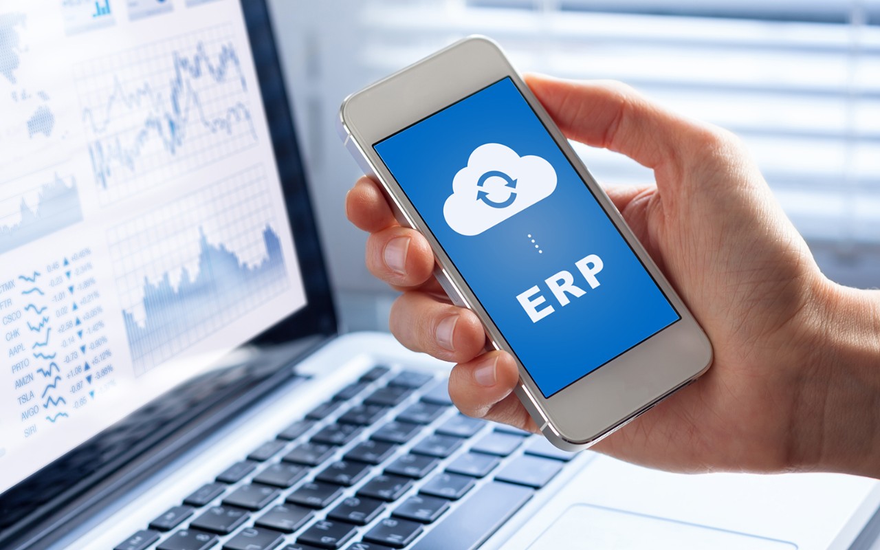 ERP software