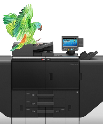 ¡Bienvenido al Centro de Impresión de Producción!