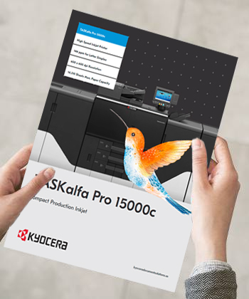 Descargue nuestra guía 