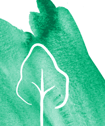 La importancia de la sostenibilidad 