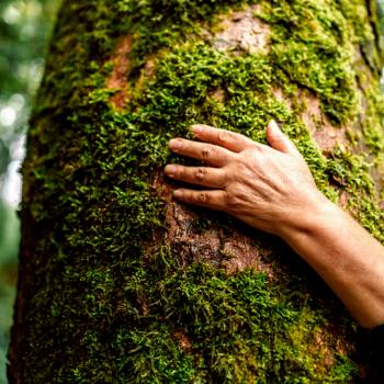 Soluciones de gestión de documentos que cuidan el medio ambiente