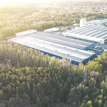 Cómo reducir la huella de carbono en mi oficina